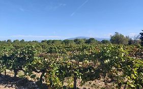 Gite Dans Les Pins Avec Piscine