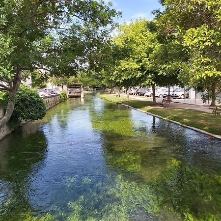 Villa Gite Dans Les Pins Avec Piscine Mazan Exterior foto