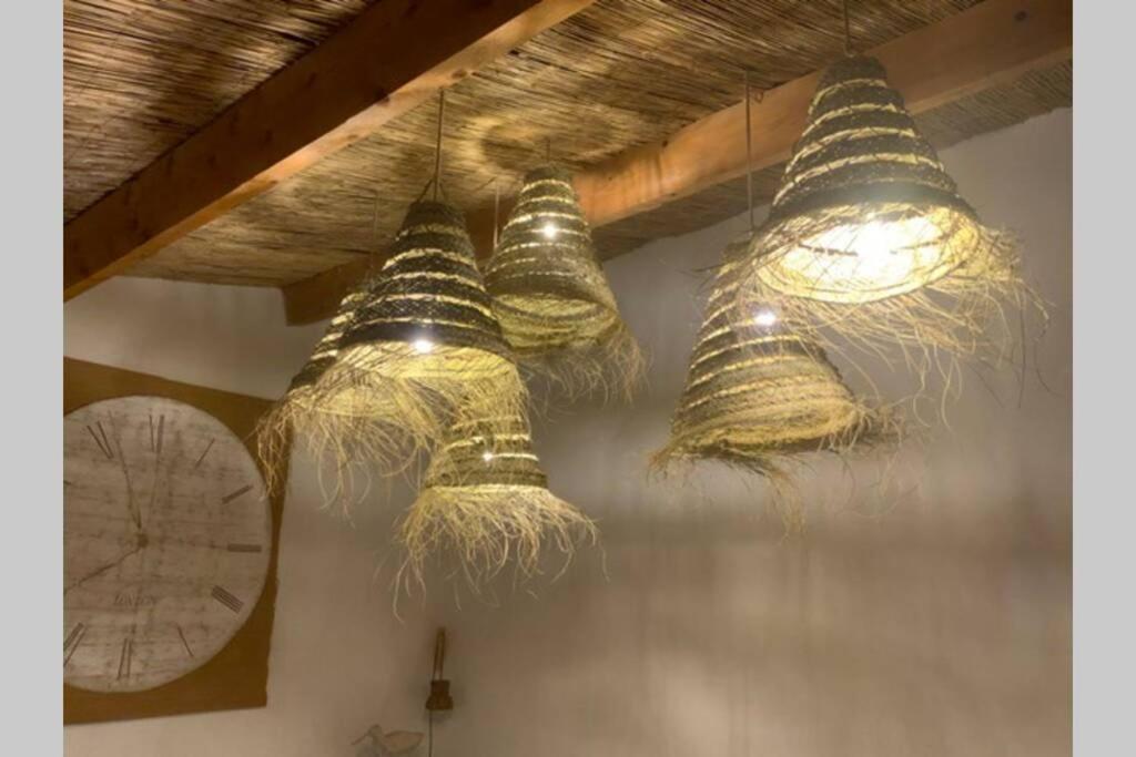 Villa Gite Dans Les Pins Avec Piscine Mazan Exterior foto
