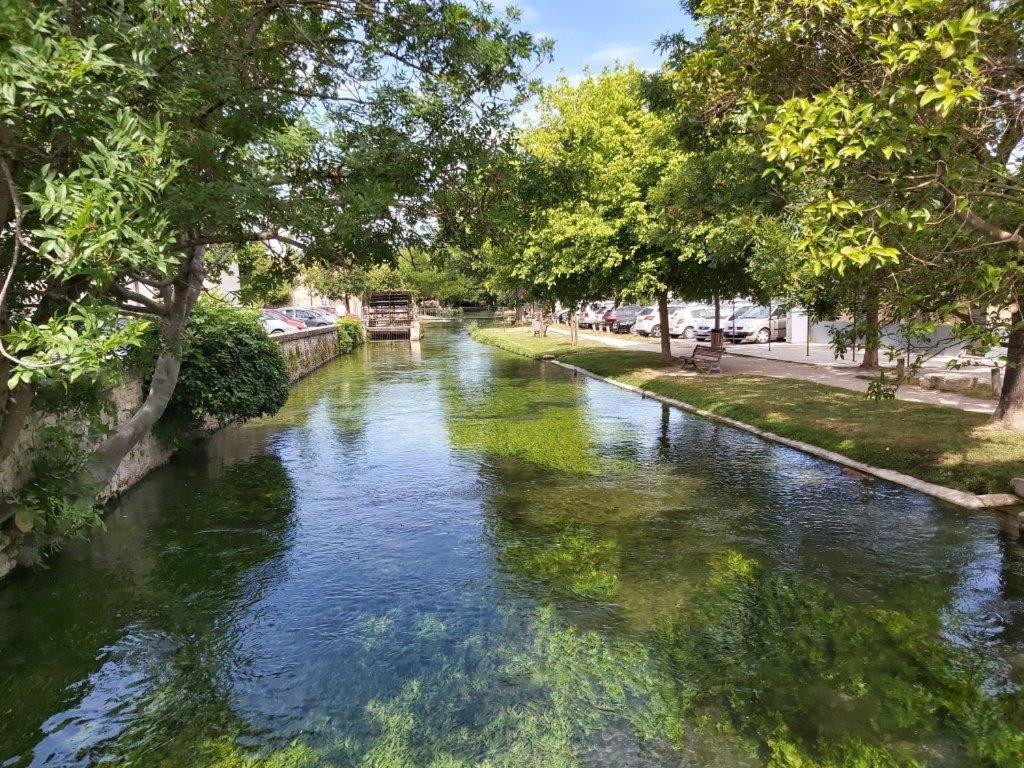 Villa Gite Dans Les Pins Avec Piscine Mazan Exterior foto