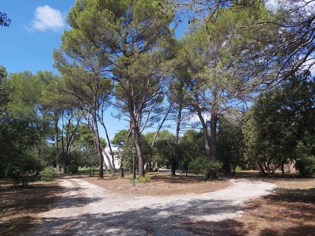 Villa Gite Dans Les Pins Avec Piscine Mazan Exterior foto