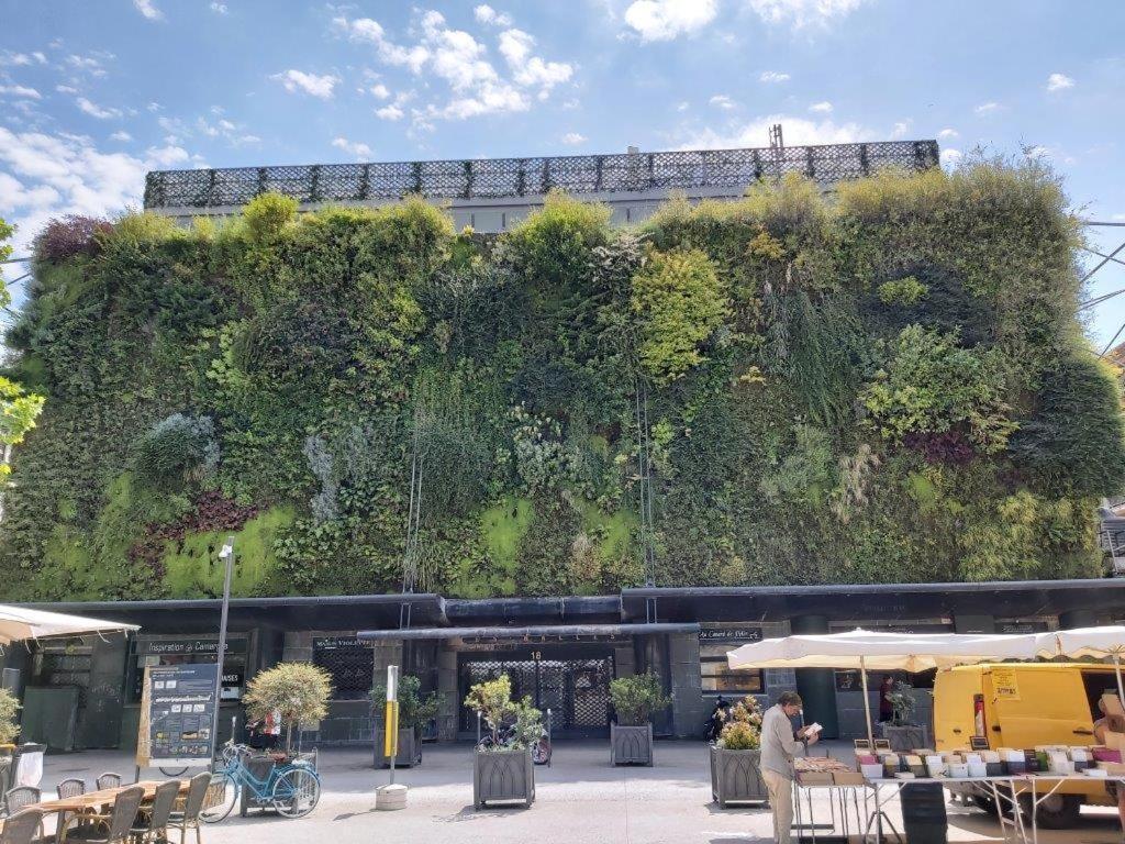 Villa Gite Dans Les Pins Avec Piscine Mazan Exterior foto